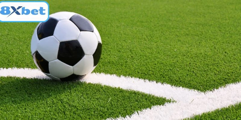 Giải mã soi kèo bóng đá 8XBET dành cho người mới
